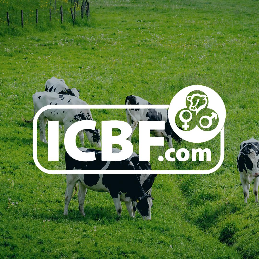 Version 1 Drives Efficiencies For ICBF: AWS Managed Service