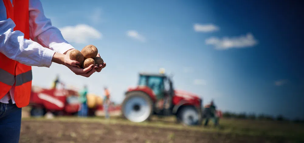 Close-up of a person wearing a high-visibility orange vest holding several freshly harvested potatoes in both hands. In the blurred background, a red tractor and agricultural machinery are visible in a field under a bright blue sky with scattered clouds, highlighting a farming and crop production setting.