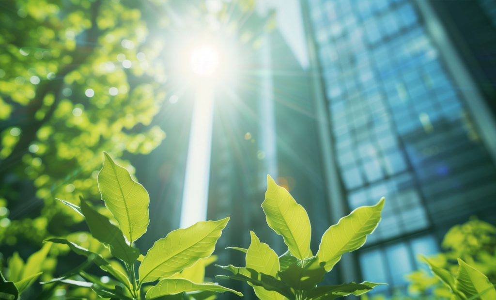 Sustainability: An obligation that cannot be deferred